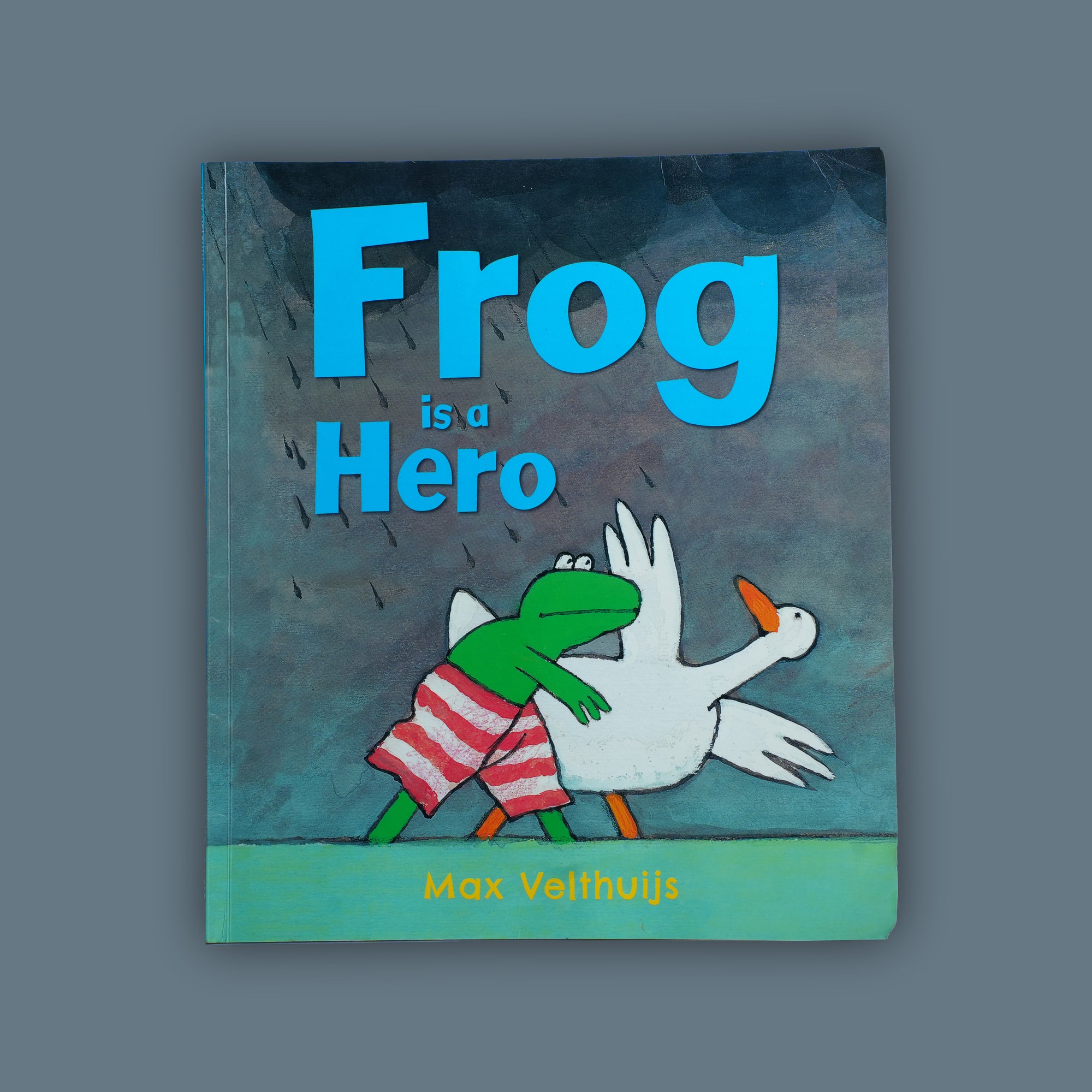 Frog is a Hero | Paperback